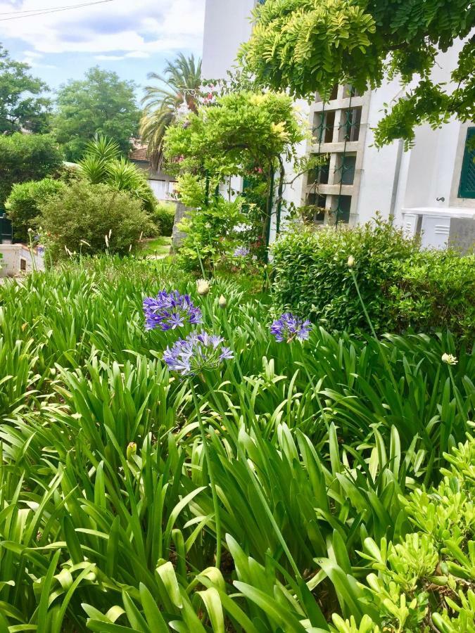 Cascais Seaside Garden Villa Екстериор снимка