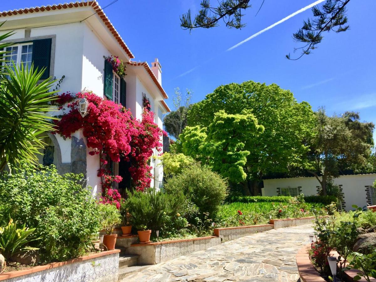 Cascais Seaside Garden Villa Екстериор снимка
